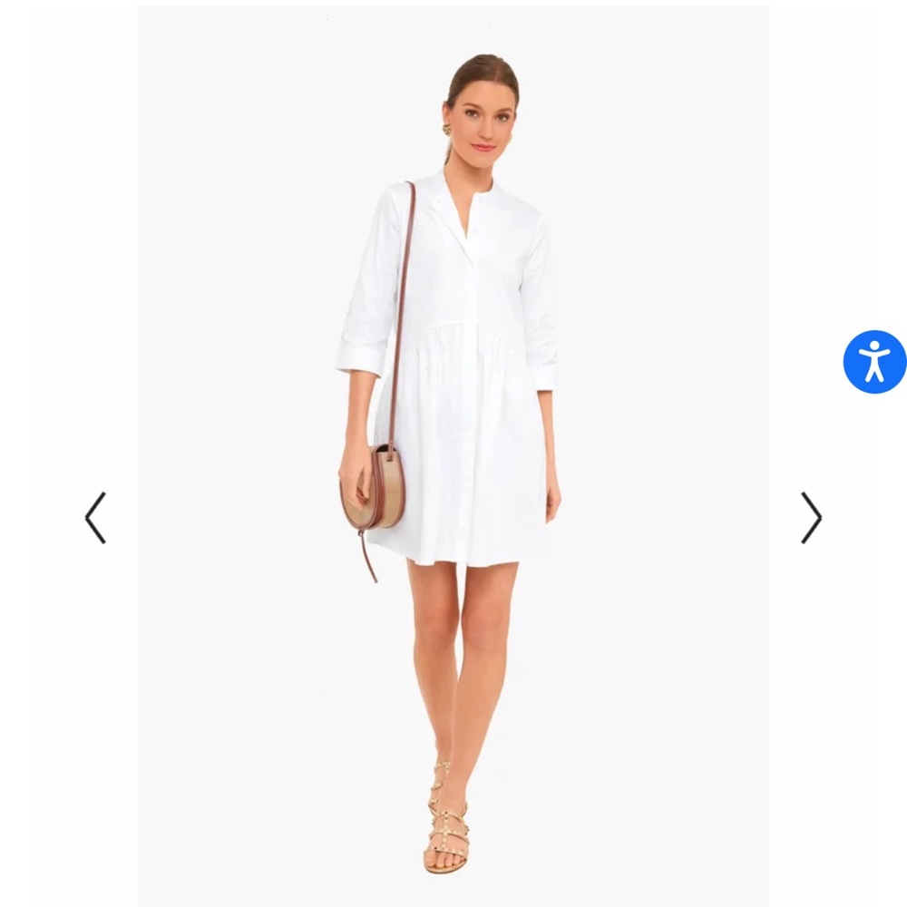 NWOT royal shirt dress Tuckernuck